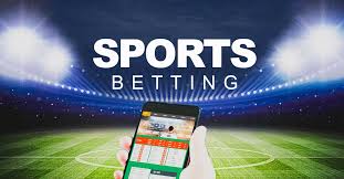 Discover the Best Online Casinos for Beginners 4 Discover the Best Online Casinos for Beginners 4